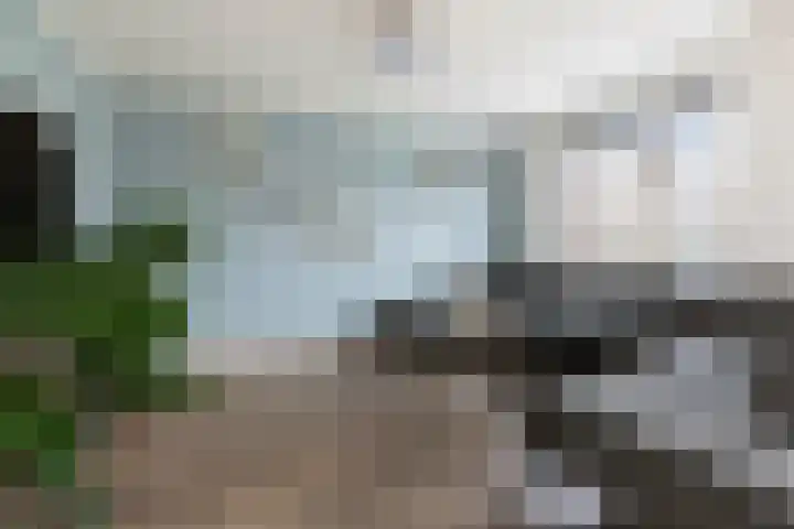Vlinderbalg 10 Groningen thumbnail 22
