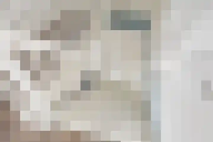 Vlinderbalg 10 Groningen thumbnail 27