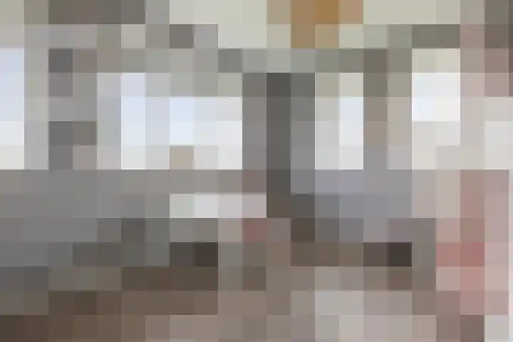 Vlinderbalg 10 Groningen thumbnail 33