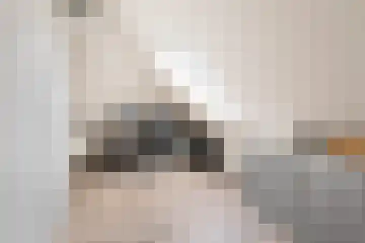 Vlinderbalg 10 Groningen thumbnail 38