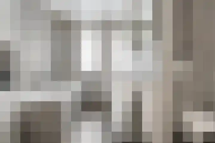 Vlinderbalg 10 Groningen thumbnail 4
