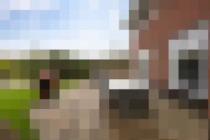 Vlinderbalg 10 Groningen thumbnail 40