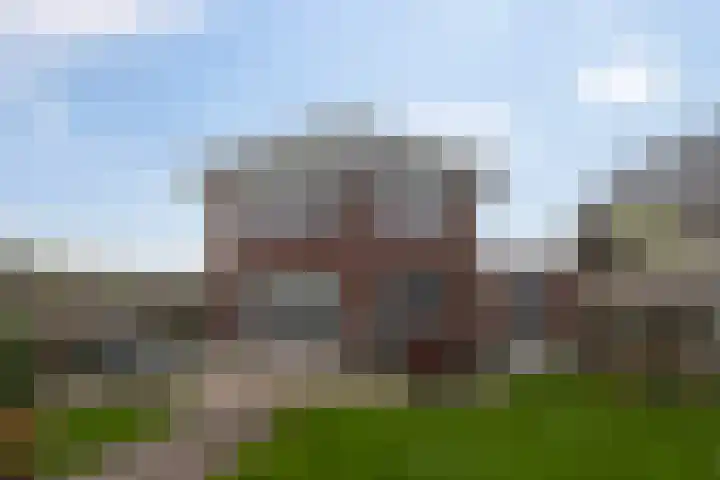 Vlinderbalg 10 Groningen thumbnail 43