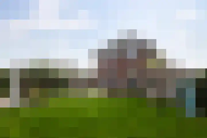 Vlinderbalg 10 Groningen thumbnail 44