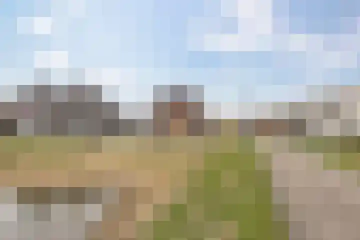Vlinderbalg 10 Groningen thumbnail 45