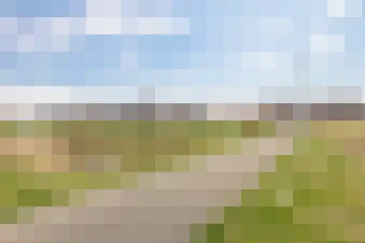 Vlinderbalg 10 Groningen thumbnail 46