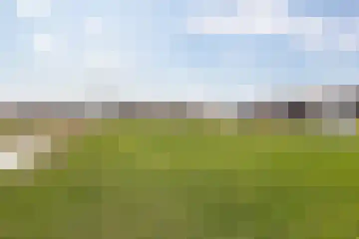 Vlinderbalg 10 Groningen thumbnail 47