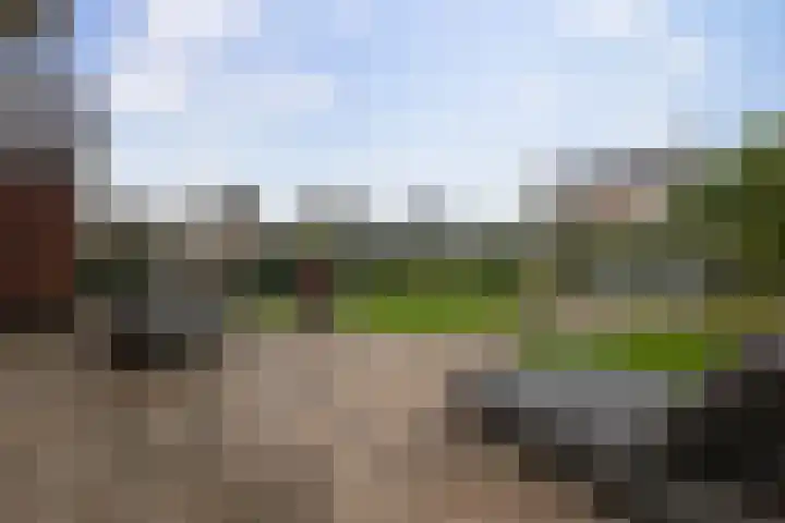 Vlinderbalg 10 Groningen thumbnail 6