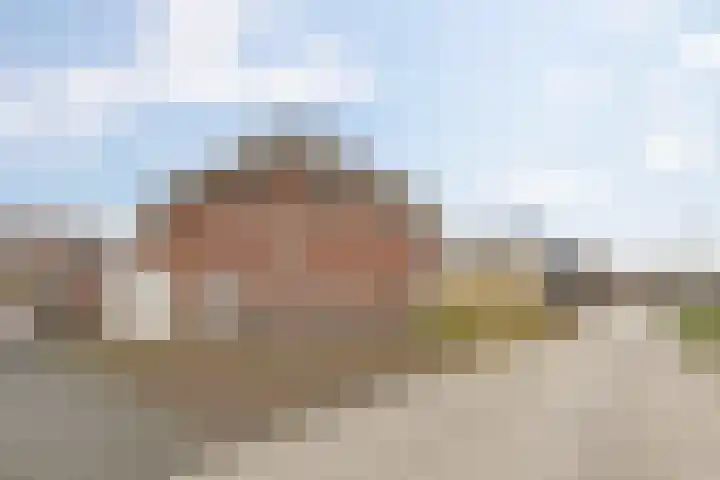 Vlinderbalg 10 Groningen thumbnail 9