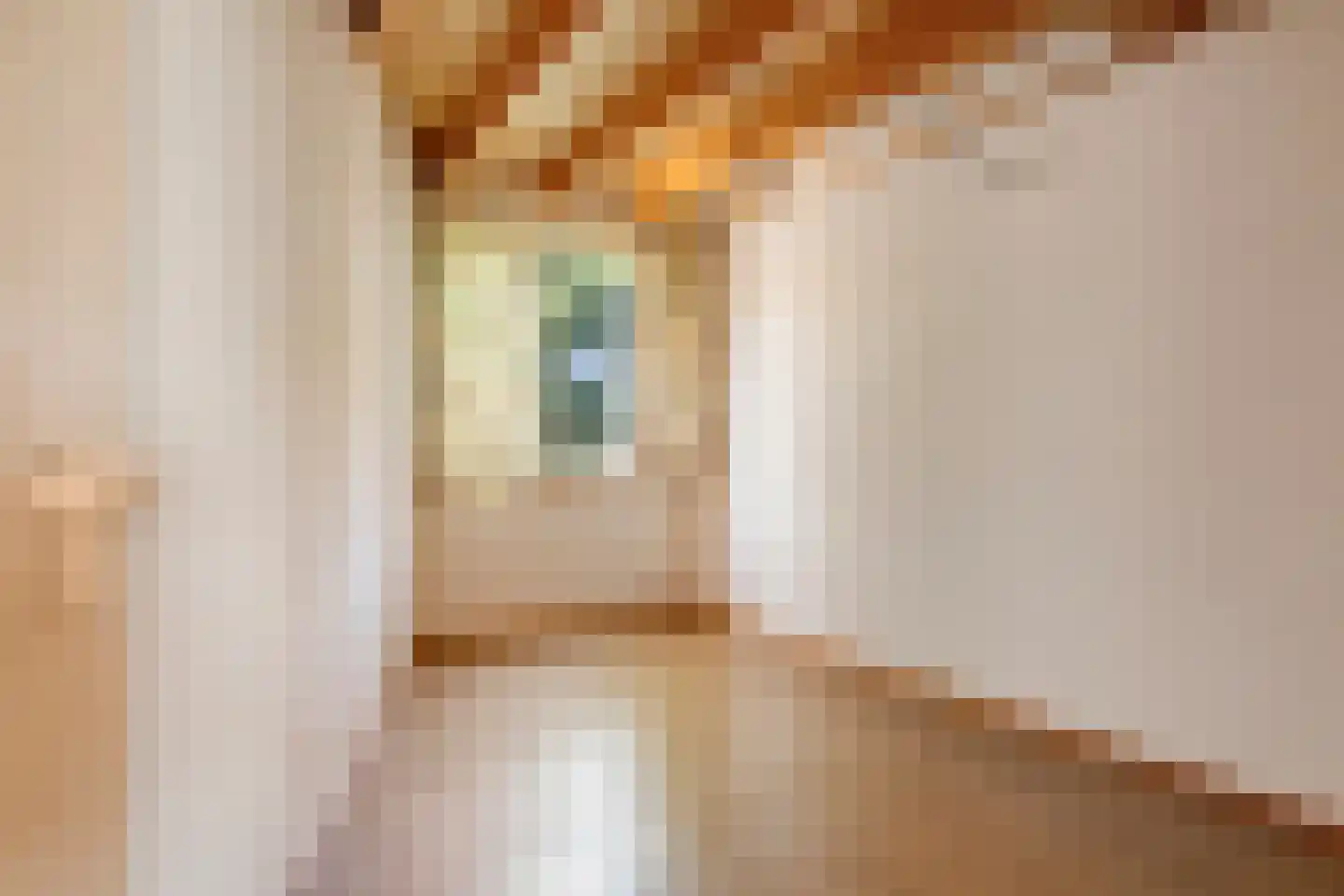 Vlinderhof 26 Deurne thumbnail 24