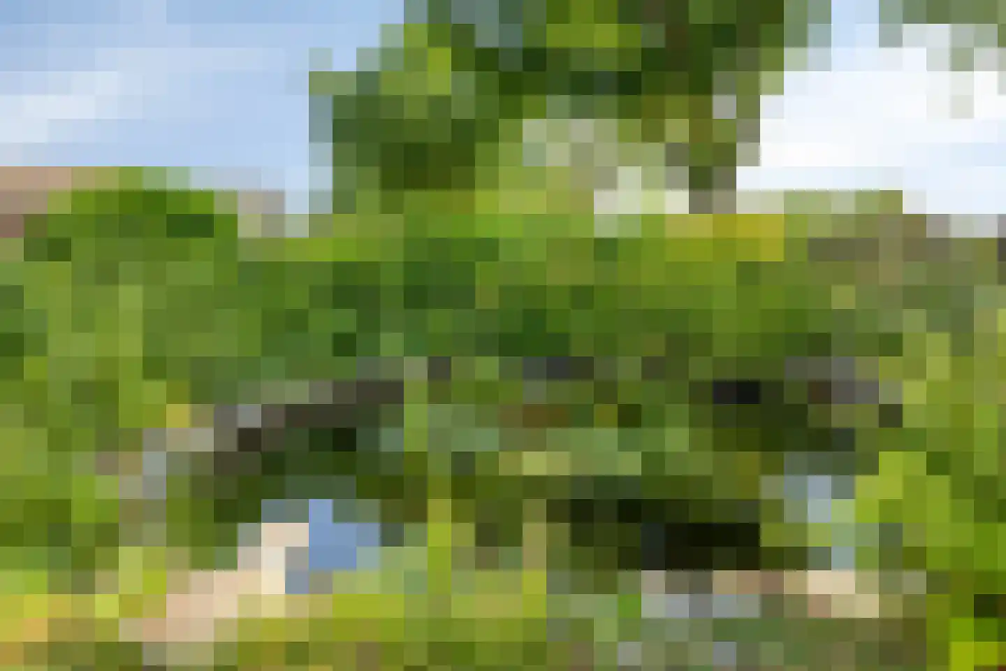 Vlinderhof 26 Deurne thumbnail 40