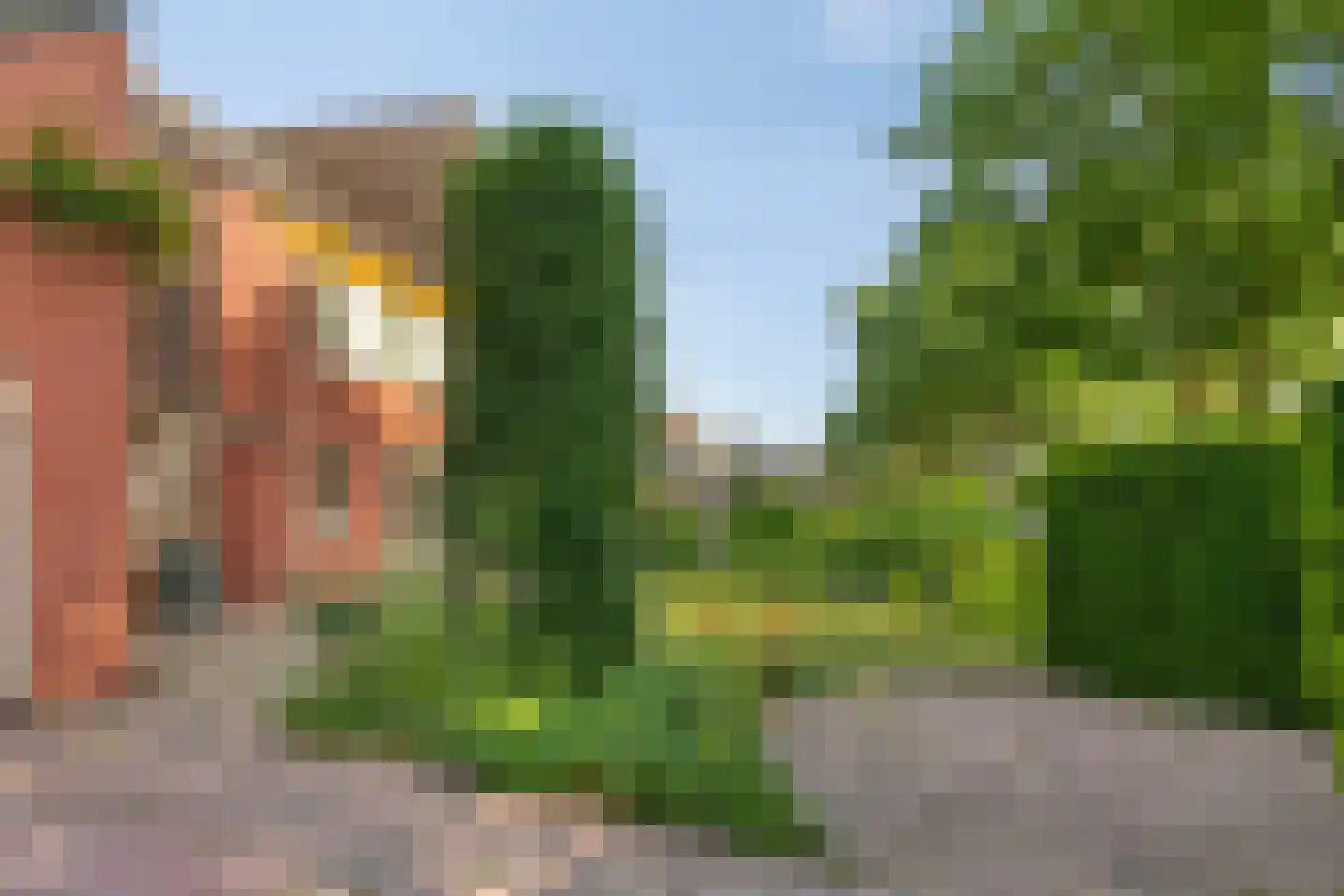 Vlinderhof 26 Deurne thumbnail 41
