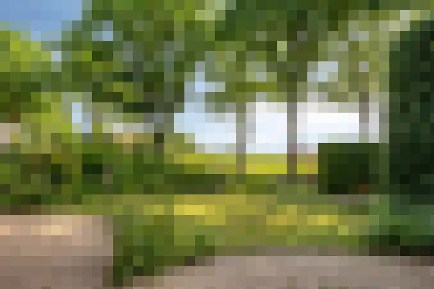 Vlinderhof 26 Deurne thumbnail 43