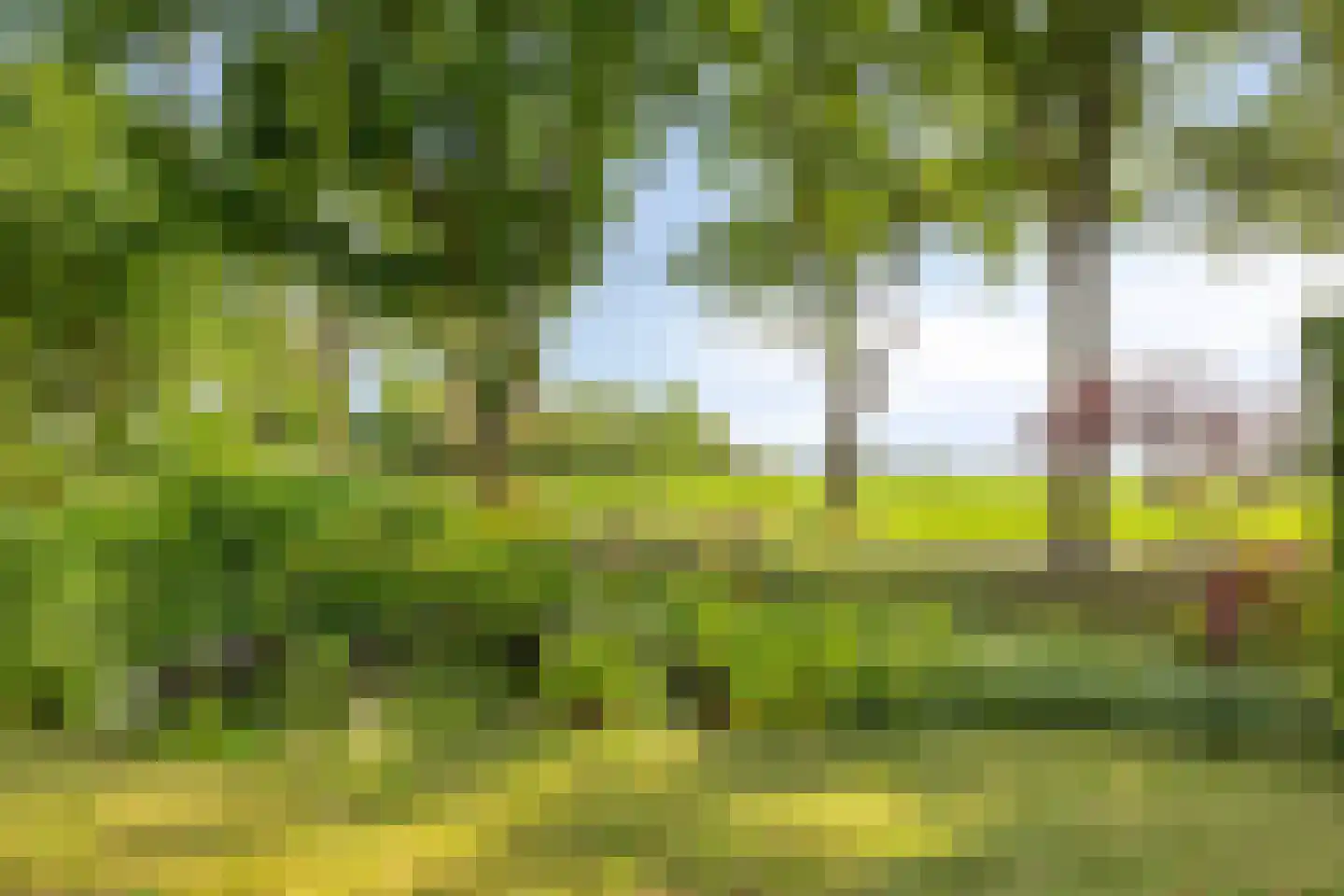 Vlinderhof 26 Deurne thumbnail 44