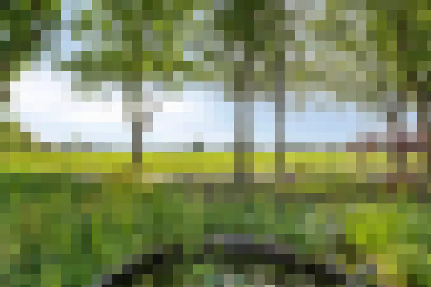 Vlinderhof 26 Deurne thumbnail 45