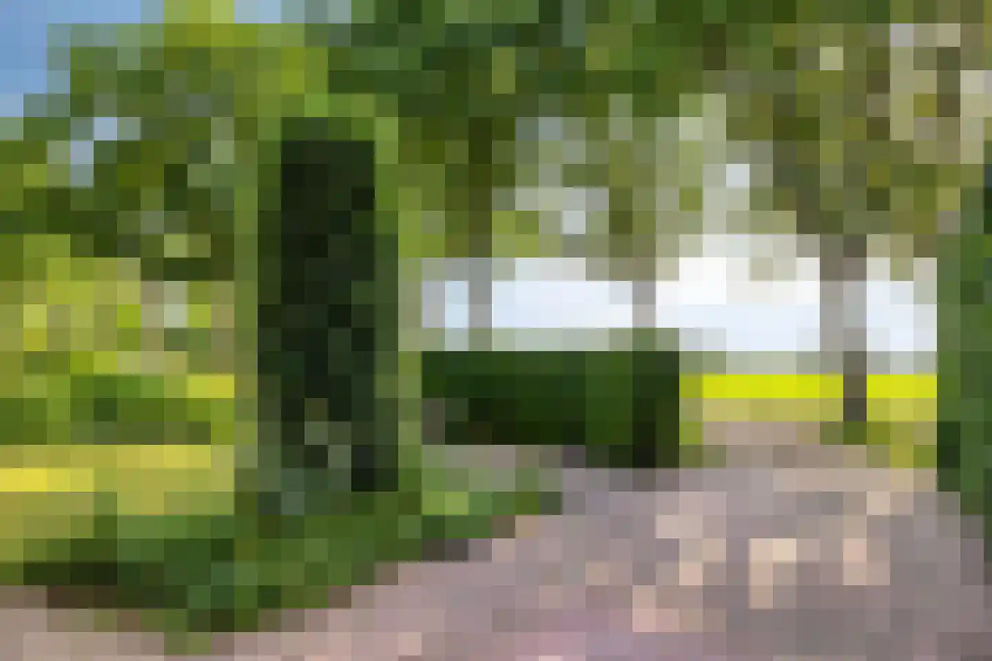 Vlinderhof 26 Deurne thumbnail 48
