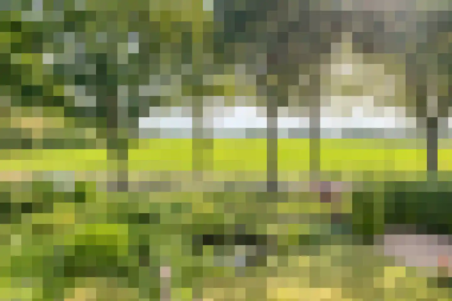 Vlinderhof 26 Deurne thumbnail 49