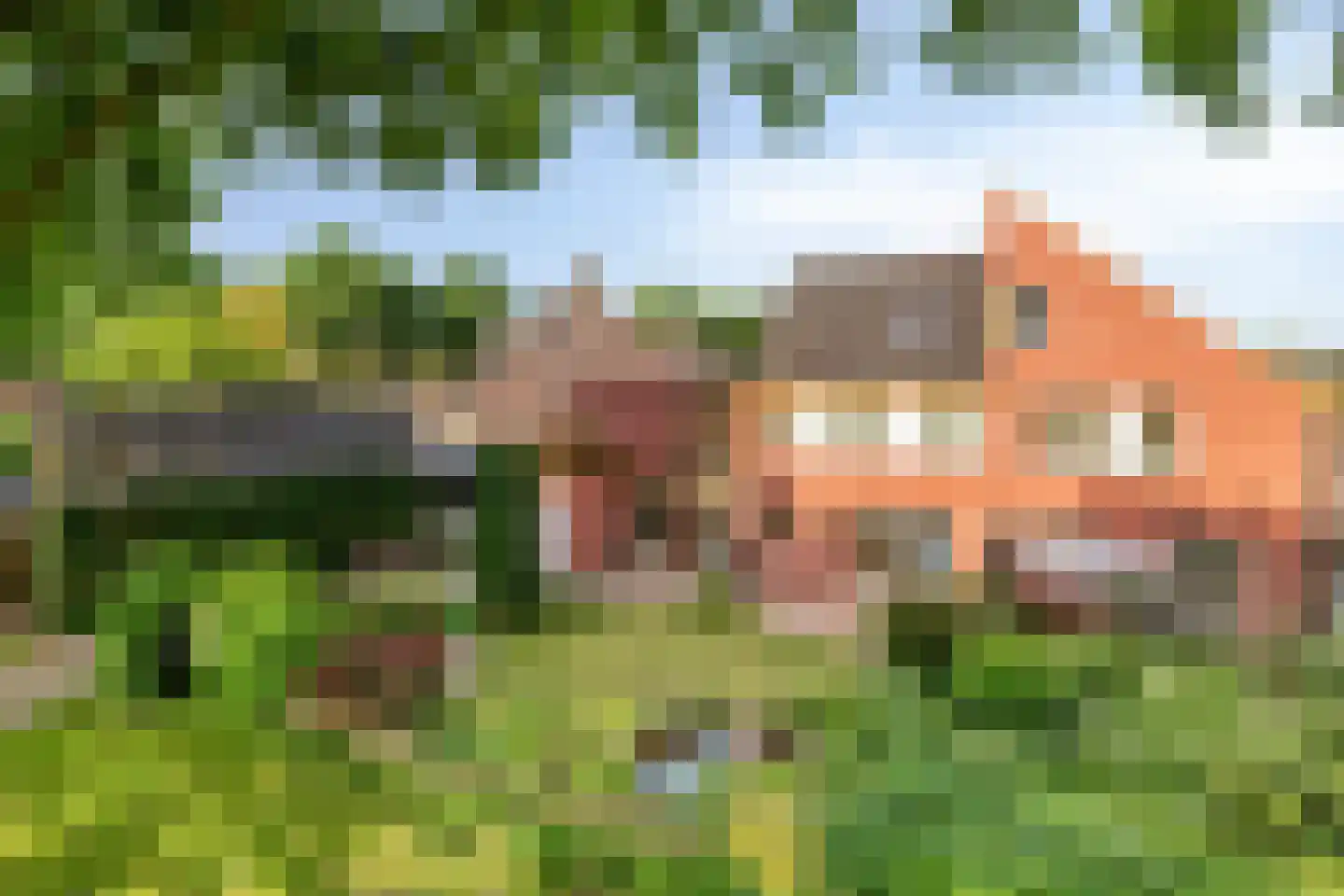 Vlinderhof 26 Deurne thumbnail 55
