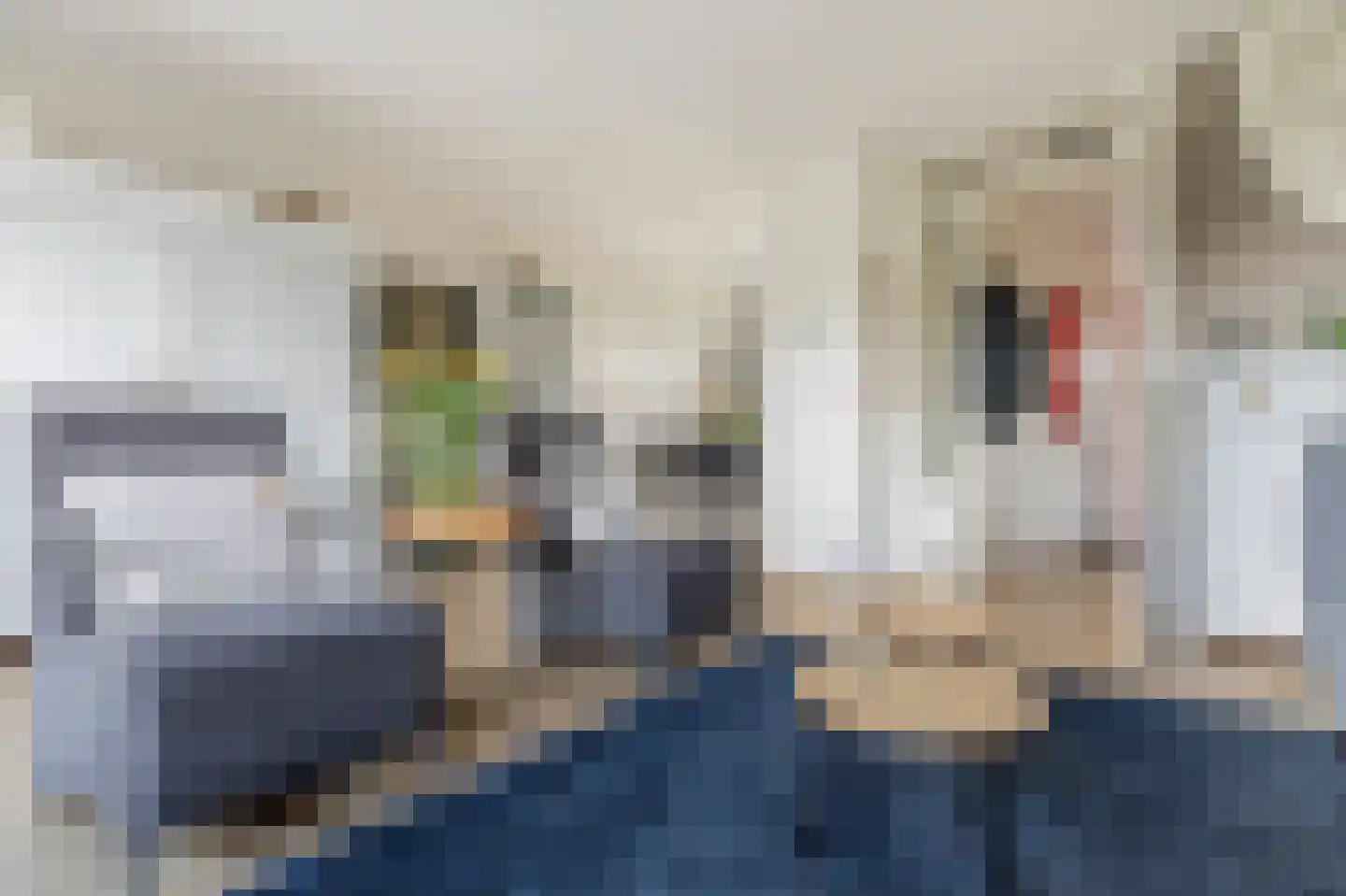 Vlinderkleuven 20 Assen thumbnail 13