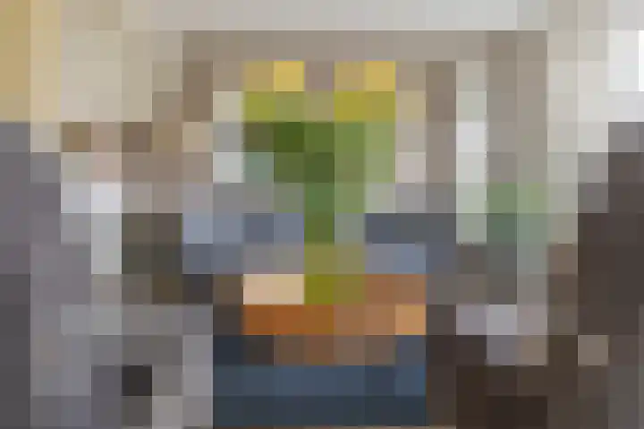 Vlinderkleuven 20 Assen thumbnail 15
