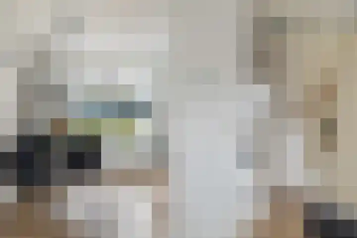 Vlinderkleuven 20 Assen thumbnail 17