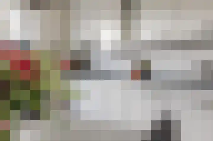 Vlinderkleuven 20 Assen thumbnail 19