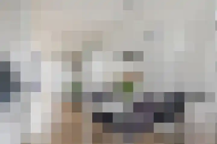 Vlinderkleuven 20 Assen thumbnail 20