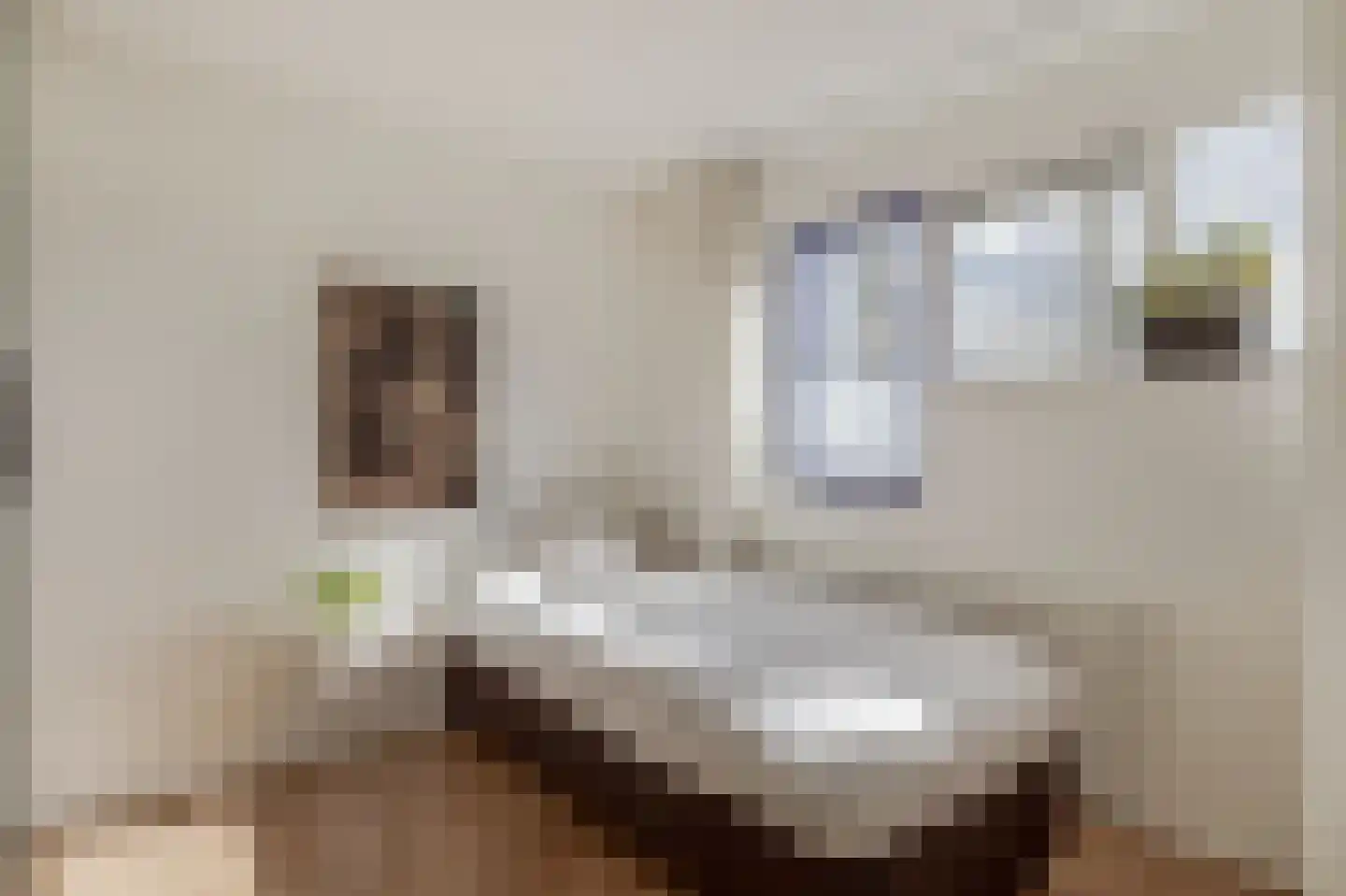Vlinderkleuven 20 Assen thumbnail 22