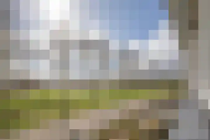 Vlinderkleuven 20 Assen thumbnail 23