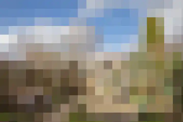 Vlinderkleuven 20 Assen thumbnail 34