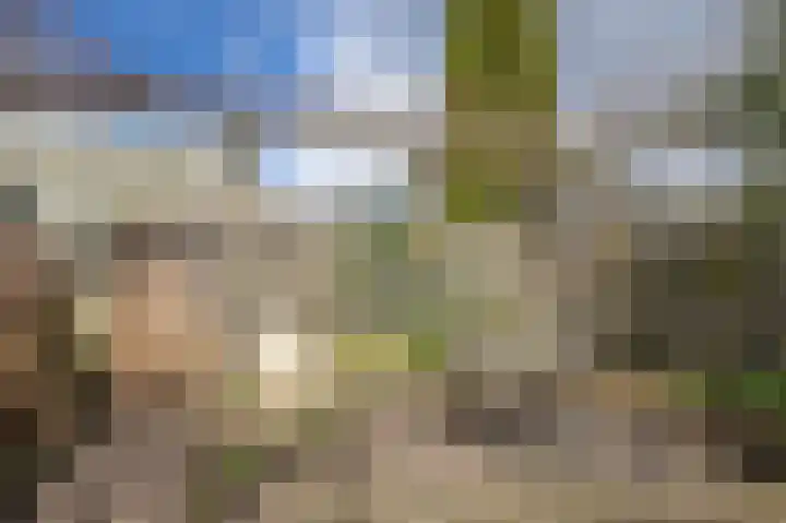 Vlinderkleuven 20 Assen thumbnail 36