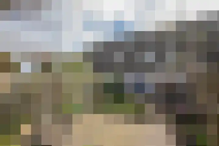 Vlinderkleuven 20 Assen thumbnail 38