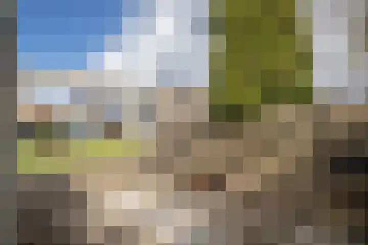 Vlinderkleuven 20 Assen thumbnail 39