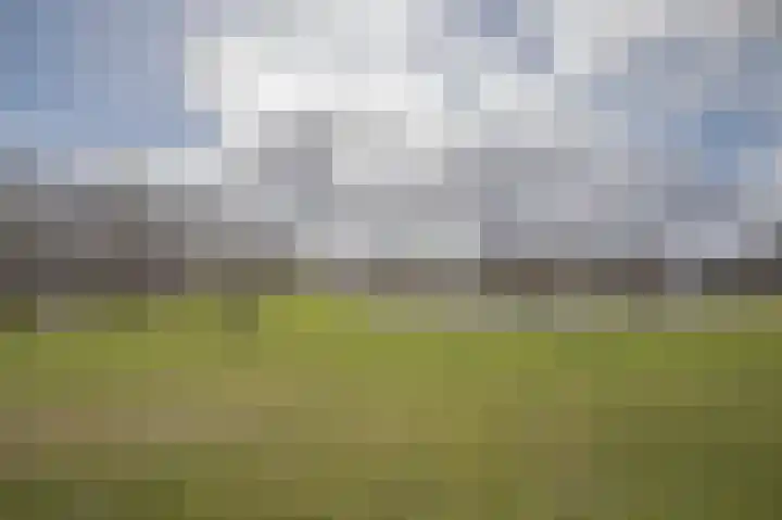 Vlinderkleuven 20 Assen thumbnail 41
