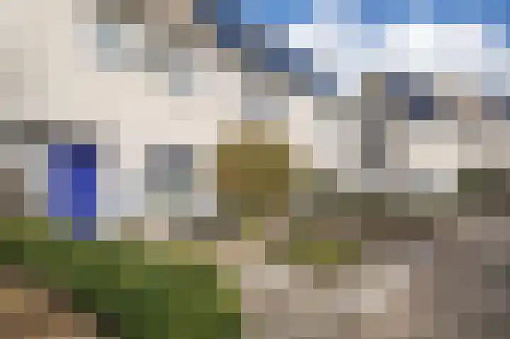 Vlinderkleuven 20 Assen thumbnail 7