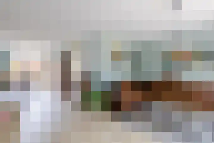 Vlinderkleuven 52 Assen thumbnail 14