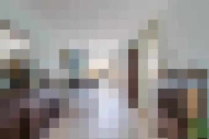 Vlinderkleuven 52 Assen thumbnail 16
