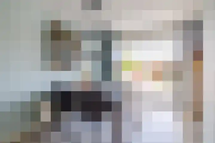 Vlinderkleuven 52 Assen thumbnail 17