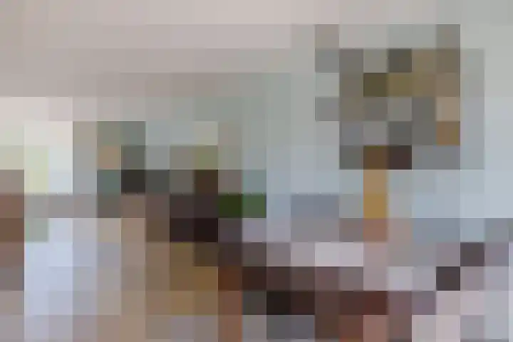 Vlinderkleuven 52 Assen thumbnail 19