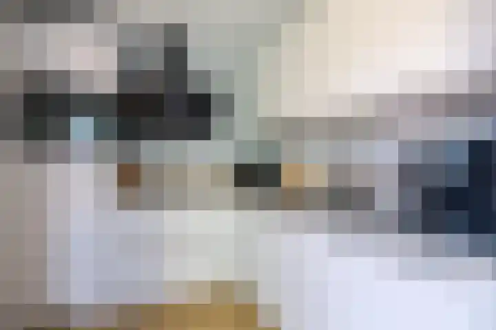 Vlinderkleuven 52 Assen thumbnail 21