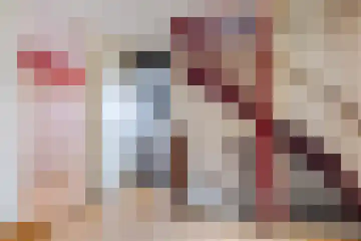 Vlinderkleuven 52 Assen thumbnail 46
