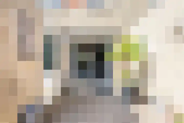 Vlinderkleuven 52 Assen thumbnail 52