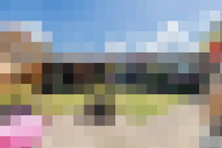 Vlinderkleuven 52 Assen thumbnail 53