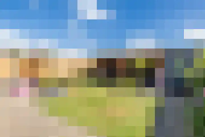 Vlinderkleuven 52 Assen thumbnail 54