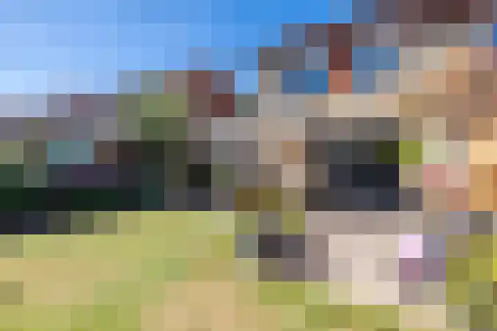 Vlinderkleuven 52 Assen thumbnail 55