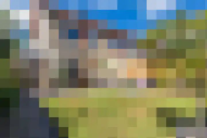 Vlinderkleuven 52 Assen thumbnail 56