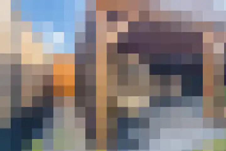 Vlinderkleuven 52 Assen thumbnail 60