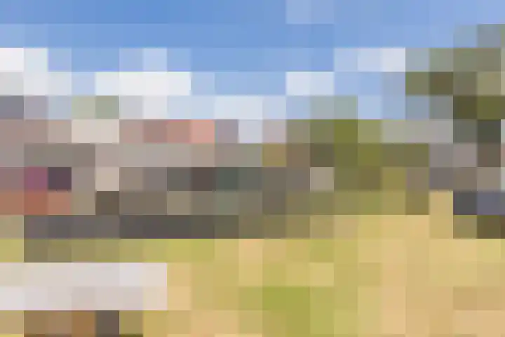 Vlinderkleuven 52 Assen thumbnail 63