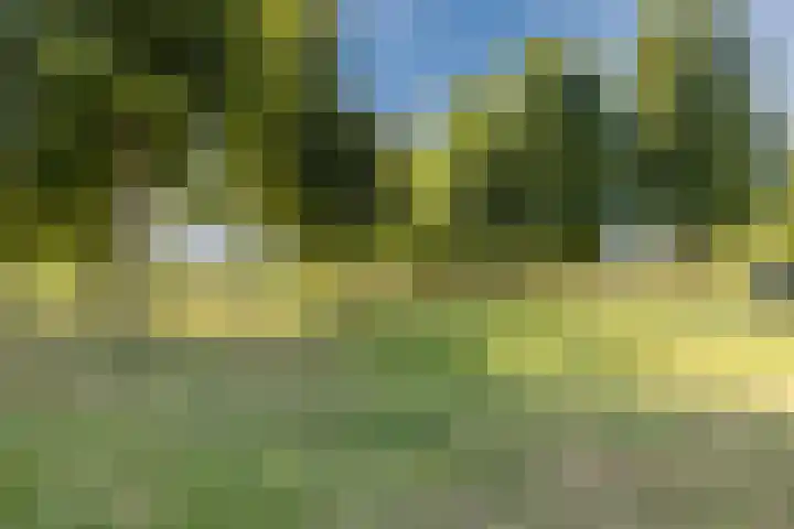 Vlinderkleuven 52 Assen thumbnail 64