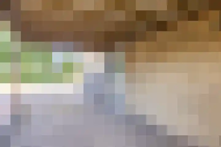 Vlinderkleuven 52 Assen thumbnail 7